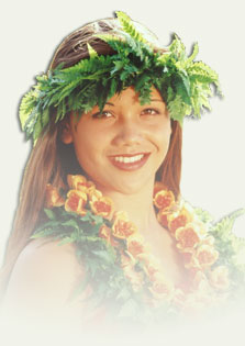 Image of the Hawaii travel guide 